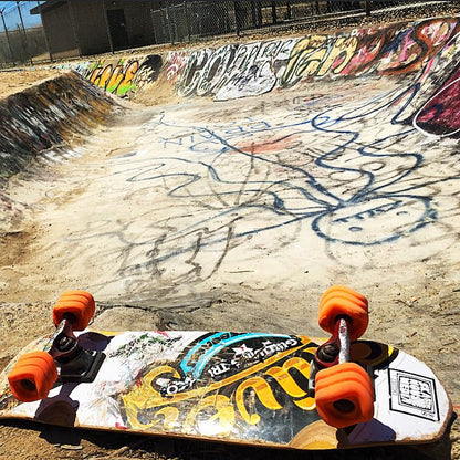 Shark Wheel 60mm, 78a Orange California Roll